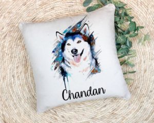 Personalized Pet Pillow
