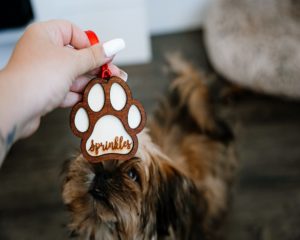 Wooden Pet Paw Ornament