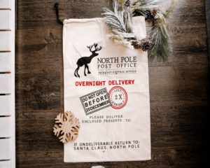 Reindeer - Santa Sack