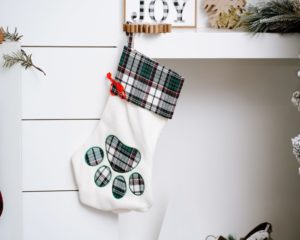 Personalized Cat Stocking